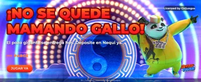 banner_colombia_30_hip_hop_panda_06